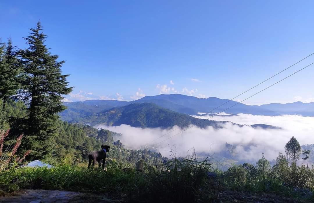 فيلا Little Himalayan Abode المورا المظهر الخارجي الصورة