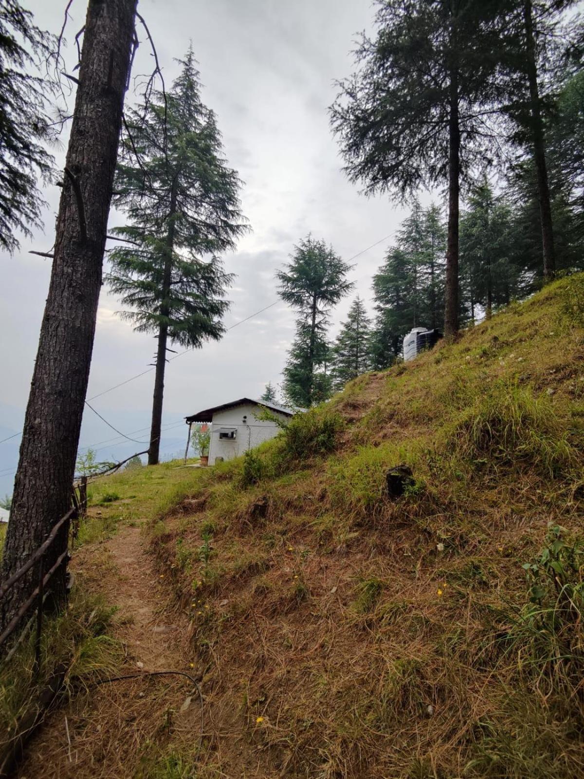 فيلا Little Himalayan Abode المورا المظهر الخارجي الصورة